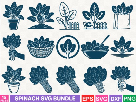 Spinach SVG Bundle Review